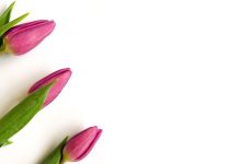 Top 10 thương hiệu mỹ phẩm nổi tiếng của Việt Nam Tìm hiểu ngay những thương hiệu mỹ phẩm nổi tiếng của Việt Nam các bạn nhé